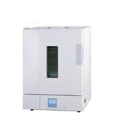 高效精準的科研助手 上海一恒BPG 9106A精密鼓風干燥箱